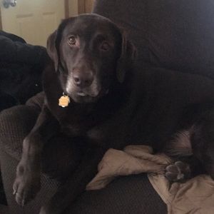 Meet your Posher, Kim